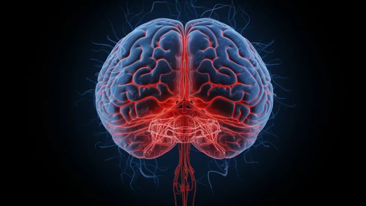 Cuáles son las causas del envejecimiento cerebral y las posibles terapias que analiza la ciencia