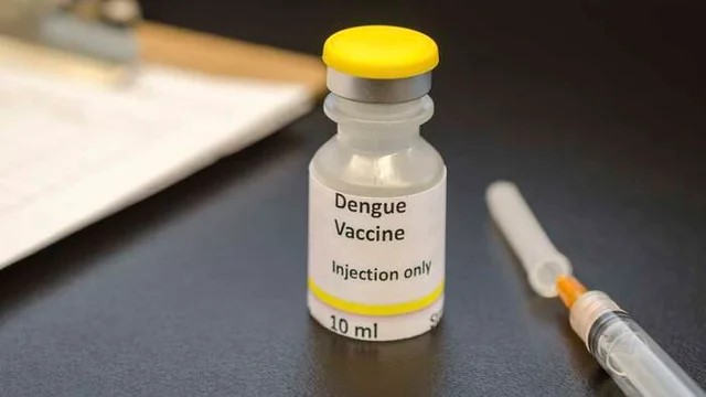 El Gobierno anunció que incorporará la vacuna del dengue de forma focalizada