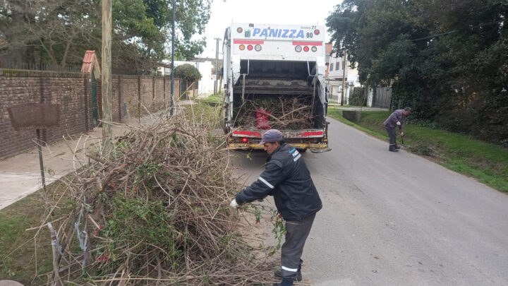 Cronograma de recolección de ramas y restos de poda para esta semana