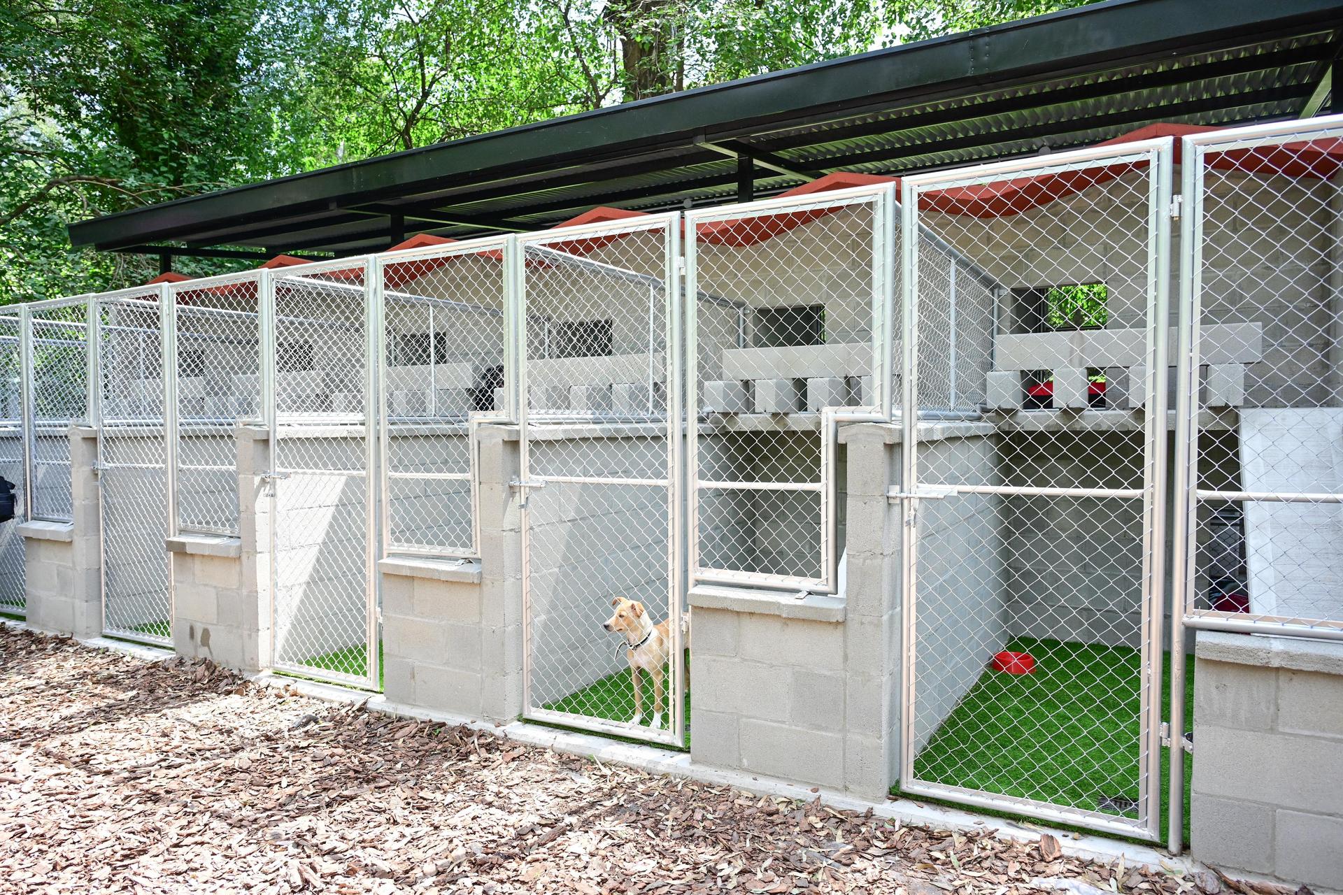 Abrió sus puertas el primer Centro de Adopción de Mascotas en Ingeniero Maschwitz