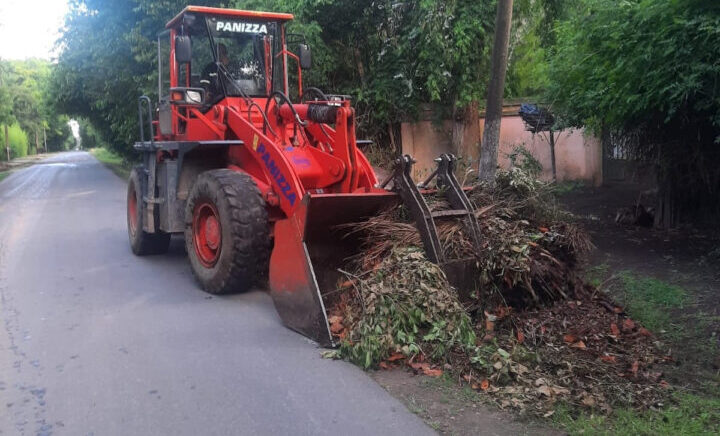 Cronograma semanal de recolección de ramas y restos de poda