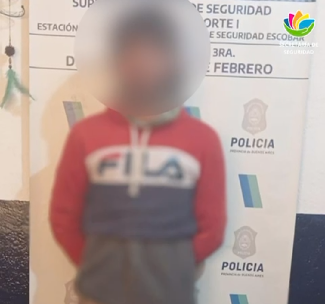 Robaron un auto en la madrugada: los detuvieron