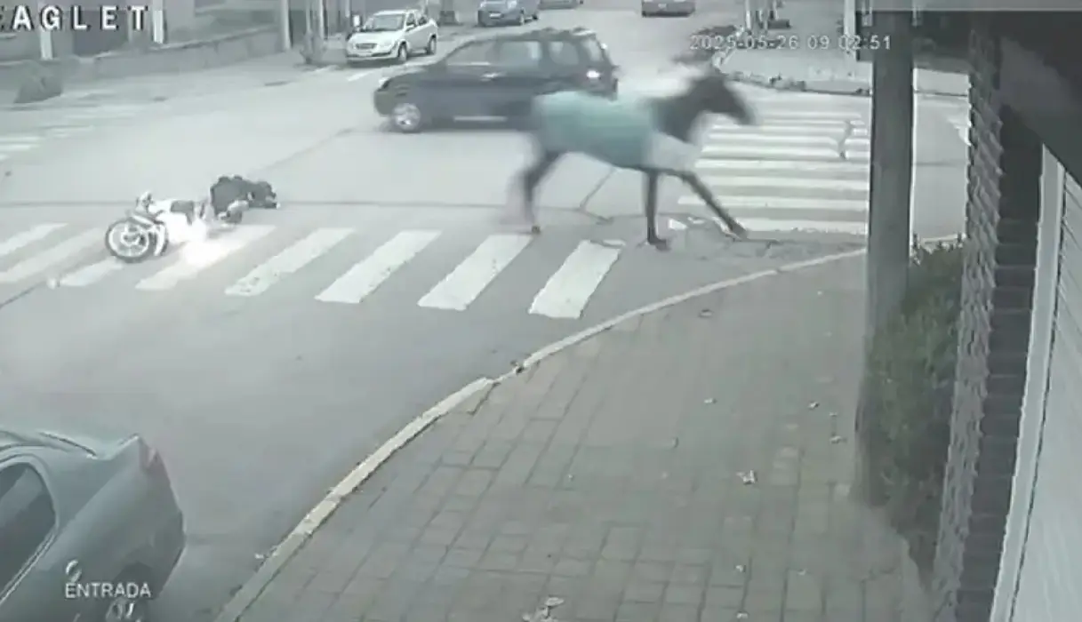 Una motociclista fue atropellada por un caballo desbocado en Necochea