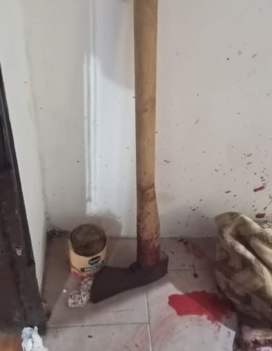 La Matanza: un joven decapitó a su madre con un hacha y fue detenido