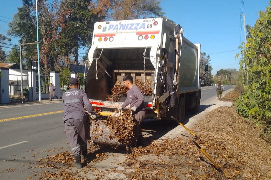 Recolección de ramas: cronograma semanal y recomendaciones para los vecinos