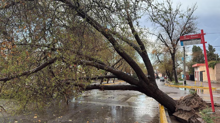 La tormenta de Santa Rosa en el país: evacuados, granizo y destrozos