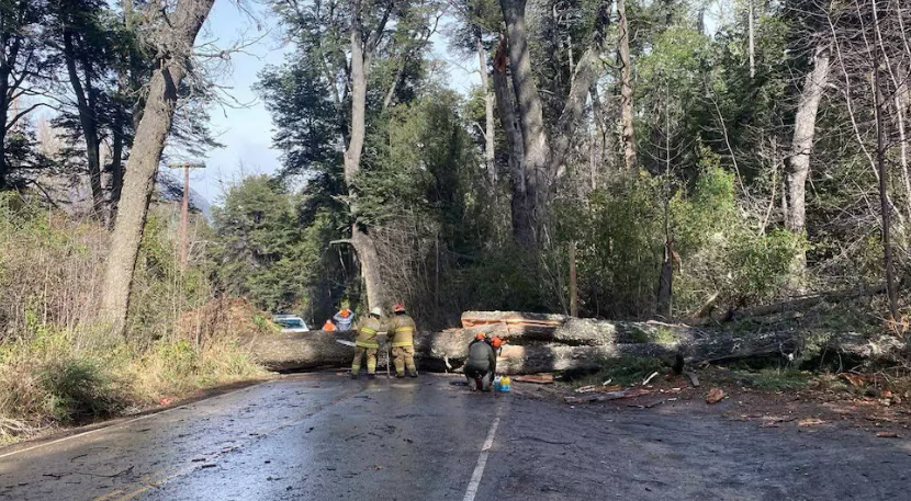 Bariloche bajo viento furioso: techos volados, cortes de luz y calles bloqueadas por un temporal histórico
