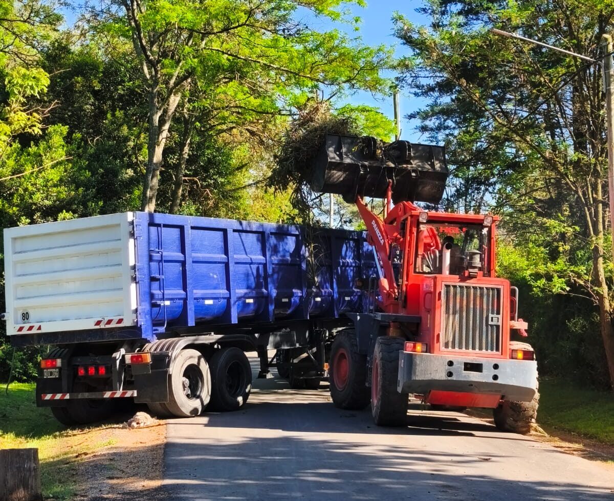 Cronograma del sistema municipal de recolección de ramas para esta semana