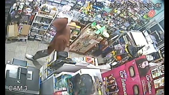 Violento asalto a una joven comerciante en Benavídez: la inseguridad no da tregua en la provincia