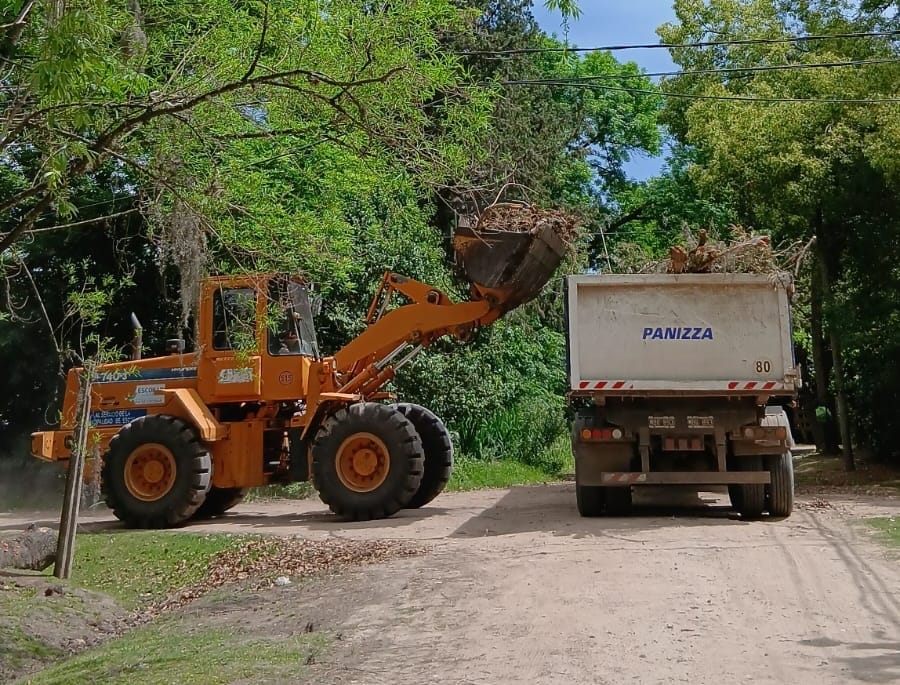 Cronograma del sistema municipal de recolección de ramas para esta semana