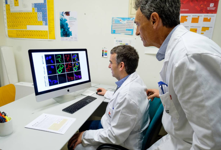 Nueva era en inmunoterapia: desarrollan moléculas que activan las defensas del cuerpo directamente dentro de los tumores