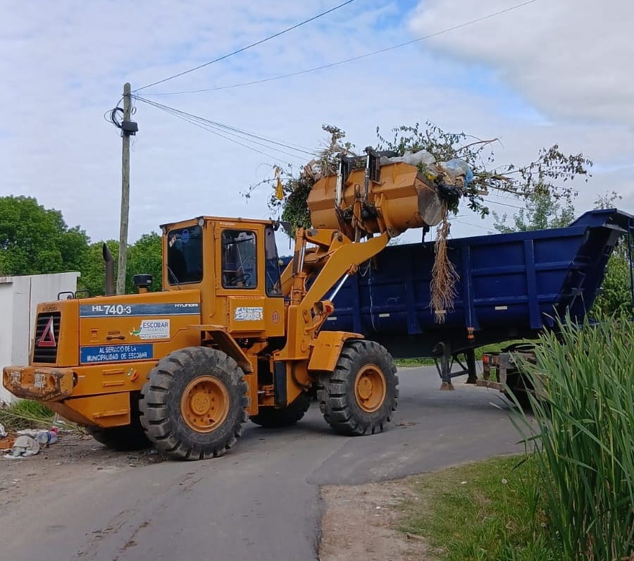 Cronograma del sistema de recolección de ramas para esta semana