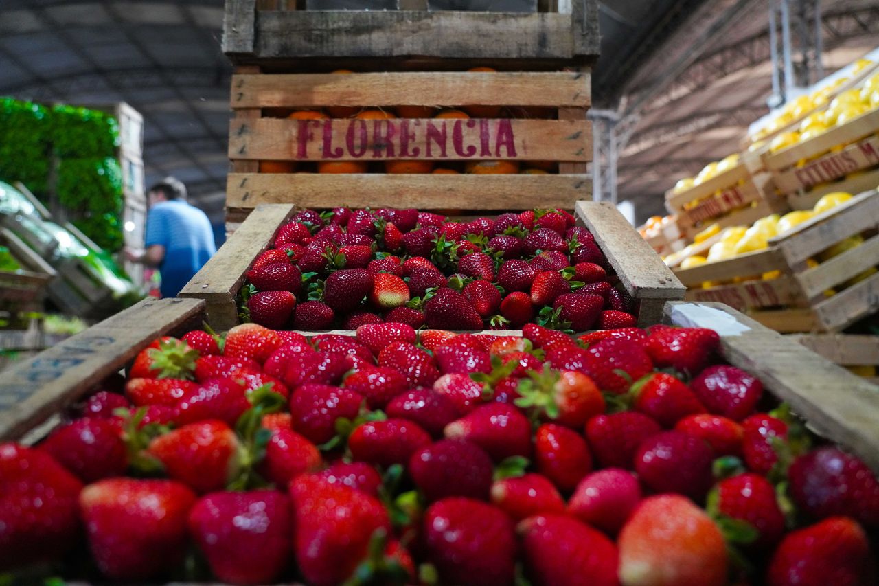 Lambertuchi será sede de la Fiesta de la Frutilla