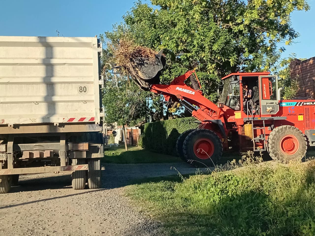 Cronograma del sistema municipal de recolección de ramas para esta semana