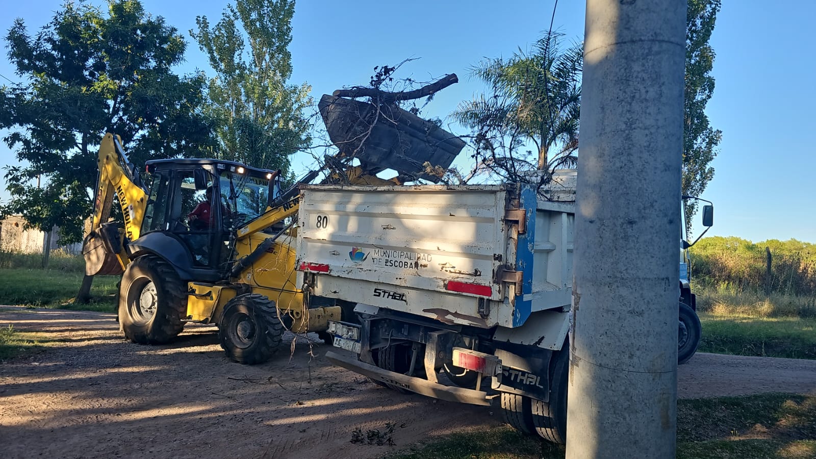 Cronograma del sistema municipal de recolección de ramas para esta semana