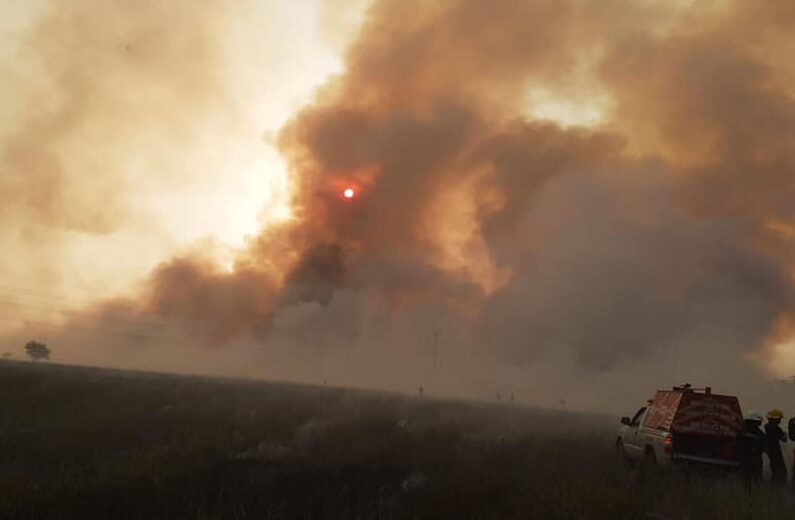 Bomberos de Garín alertan por aumento de incendios en campos y basurales