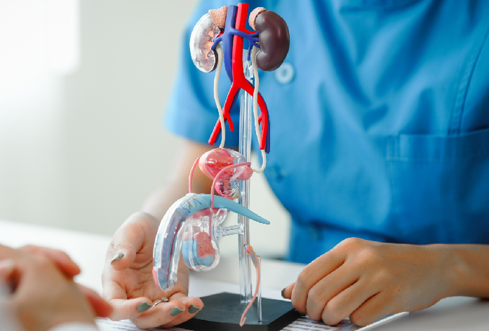 Cáncer de próstata: Guía esencial sobre prevención, riesgos y los nuevos tratamientos