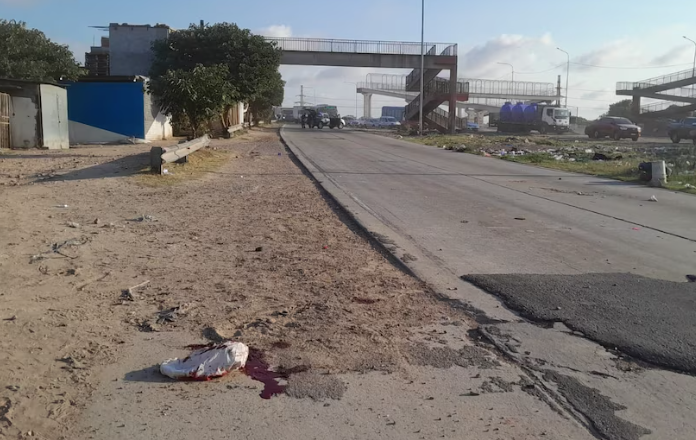 Impactante video: Intentó robar en plena autopista y terminó atropellado por una mujer policía