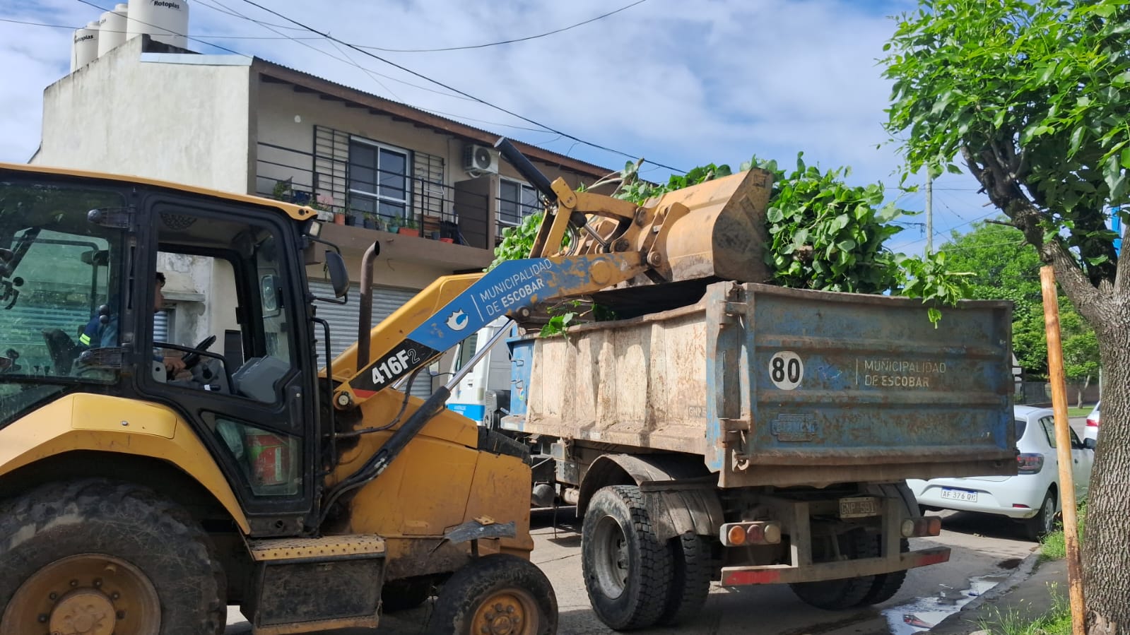 Cronograma de recolección de ramas para esta semana