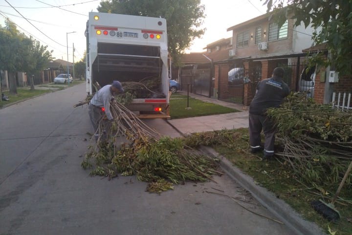 Cronograma del sistema municipal de recolección de ramas para esta semana