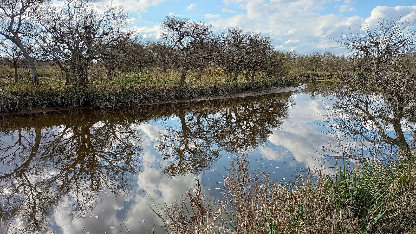 Abren la convocatoria para el concurso literario “Letras de Sol” 2026 con Loma Verde como inspiración