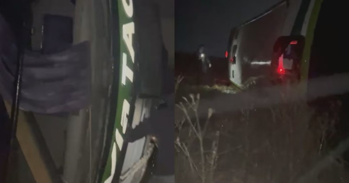 Volcó un micro en la ruta 7 a la altura de Carmen de Areco: hay al menos 20 heridos