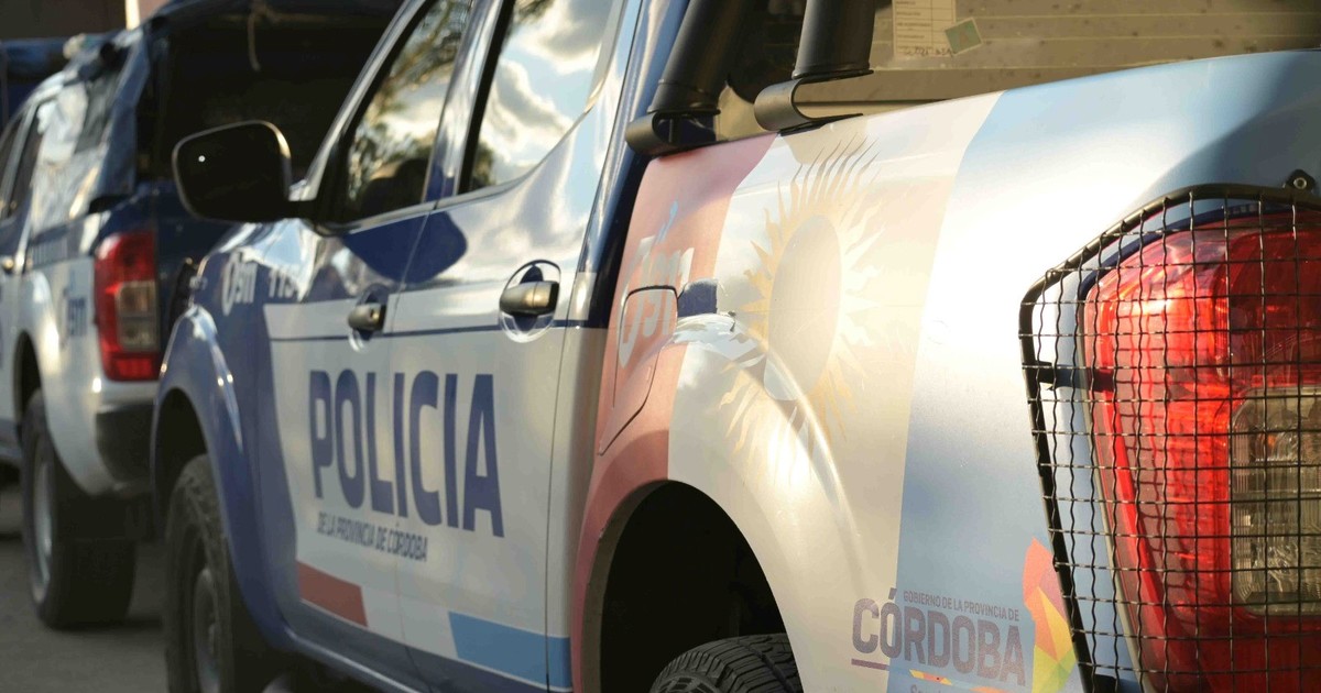 Drama en el aire: un instructor de vuelo cayó de su avioneta durante una clase y su estudiante logró aterrizarla
