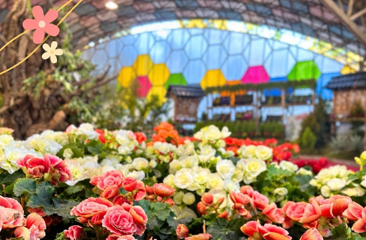 Flores, carrozas y gastronomía: qué habrá en la 63° Fiesta de la Flor de Escobar