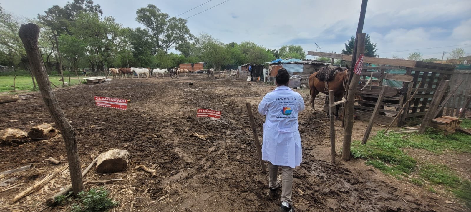 Clausuraron en El Cazador un predio con caballos por funcionar sin habilitación