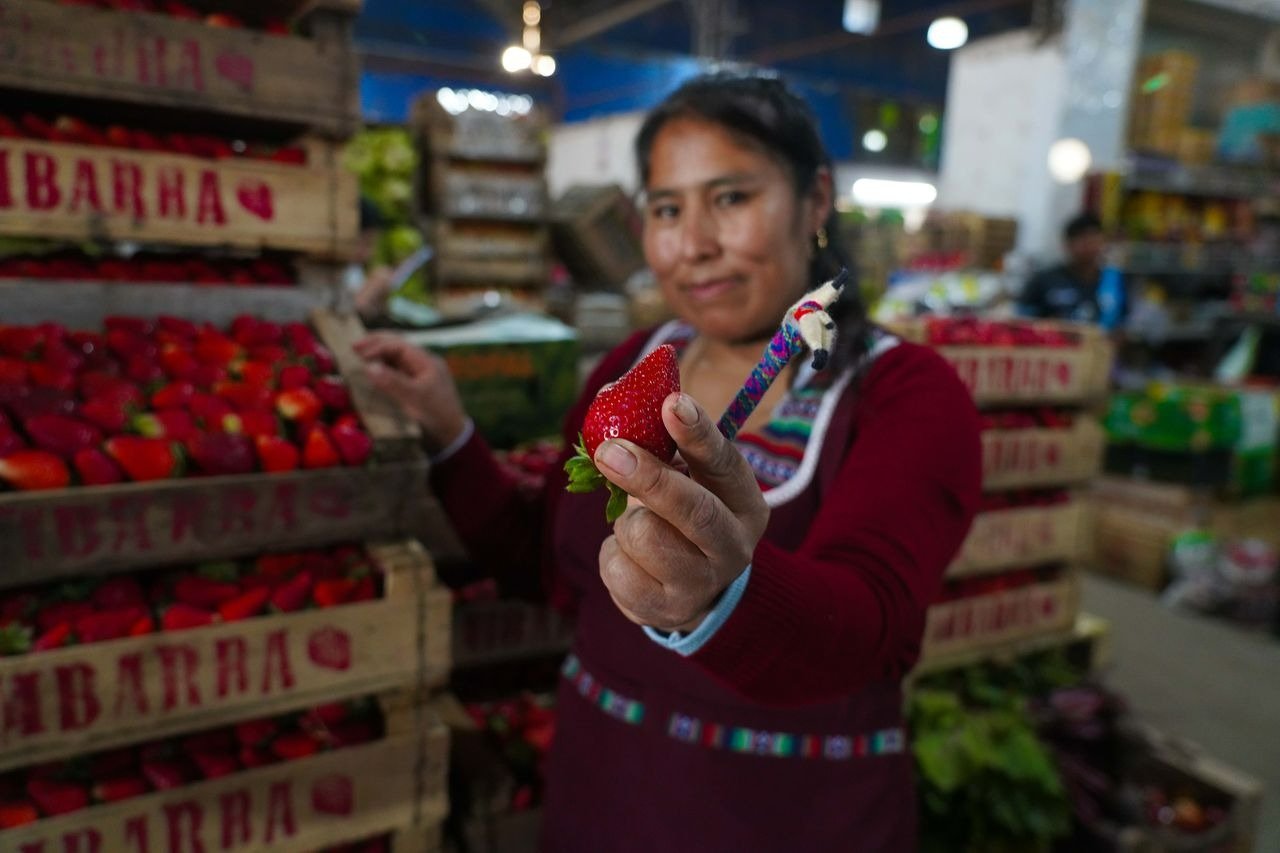 Escobar celebra la segunda edición de la Fiesta de la Frutilla